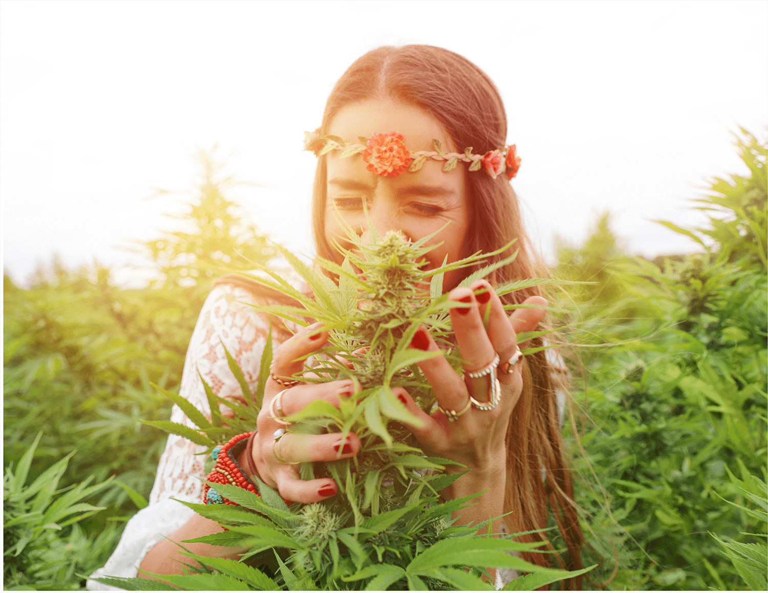 seed to sale | woman smelling cannabis